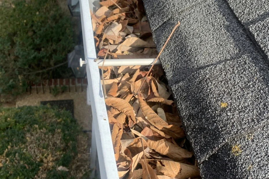 Columbus Gutter Cleaning