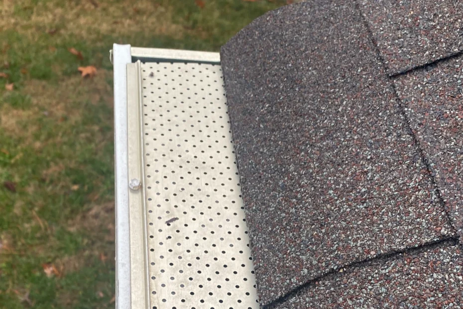 Columbus Gutter Cleaning