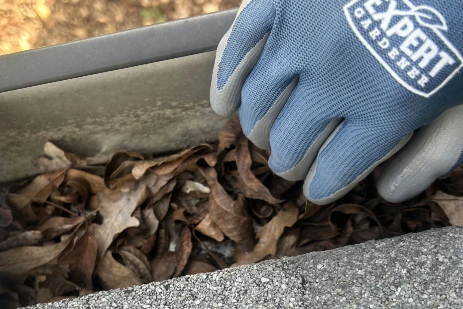 Gutter Cleaning Columbus